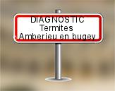 Diagnostic Termite AC Environnement  à Ambérieu en Bugey
